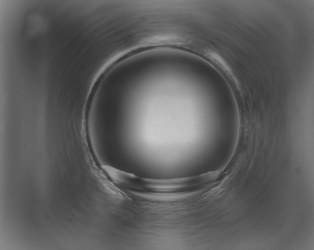 X0000074261336200608251216