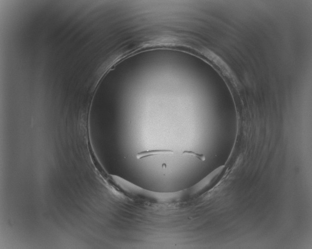 X0000074261337200608251216