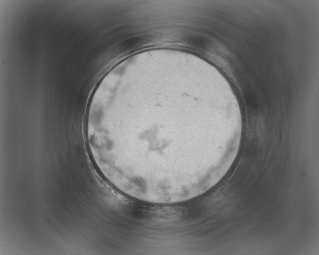 X0000074261338200608251216