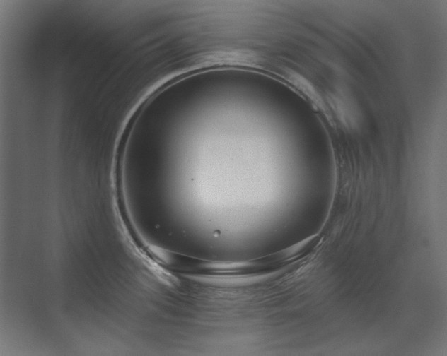 X0000074261339200608251216