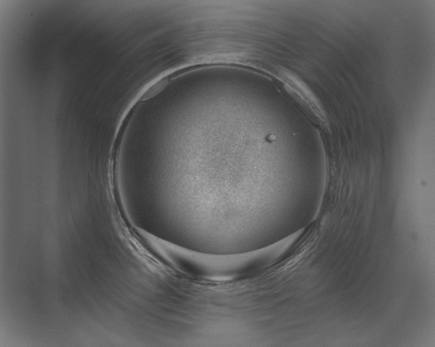 X0000074261340200608251216