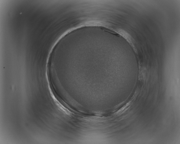 X0000074261342200608251216