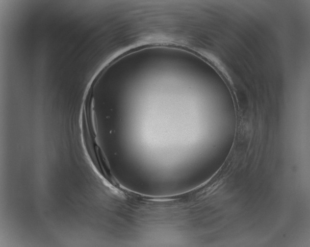 X0000074261343200608251216