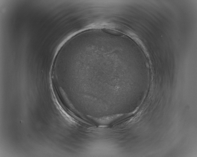 X0000074261344200608251216