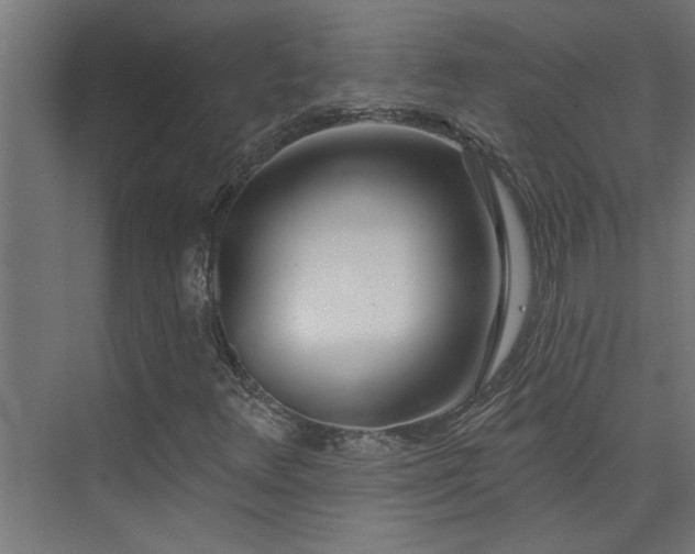 X0000074261348200608251215