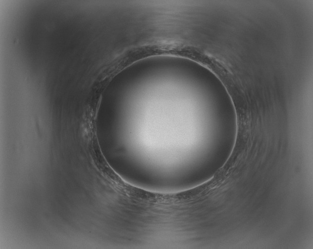 X0000074261349200608251215