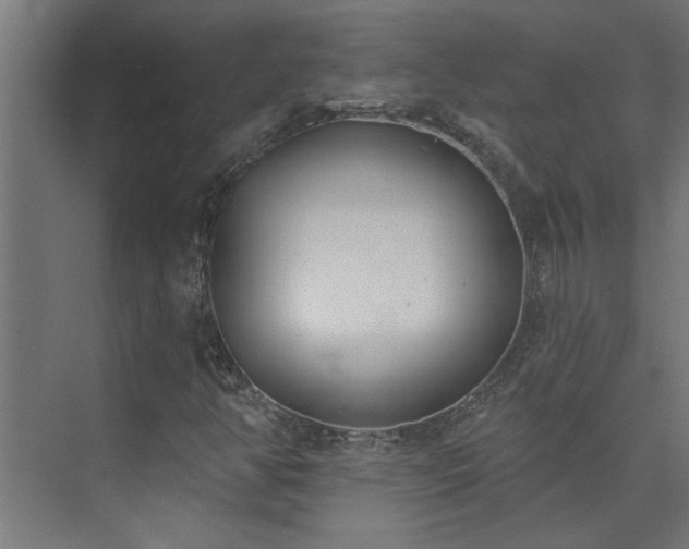 X0000074261350200608251215