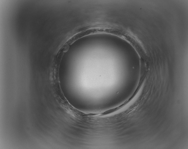 X0000074261352200608251215