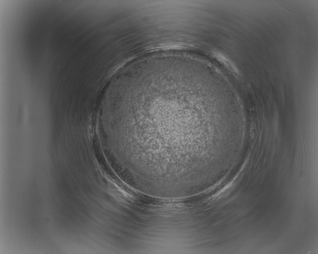 X0000074261353200608251215