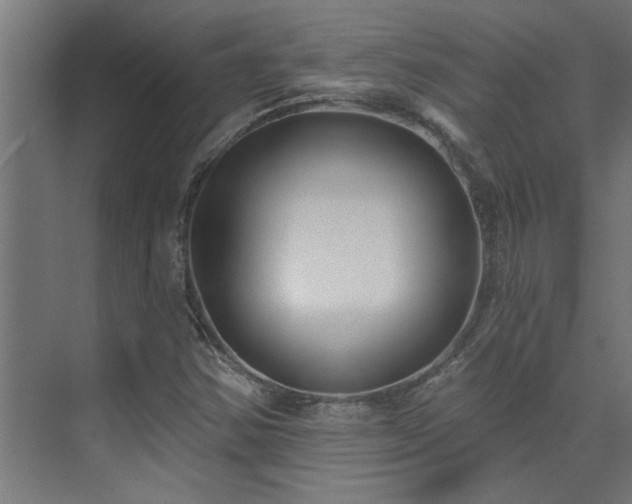 X0000074261354200608251215