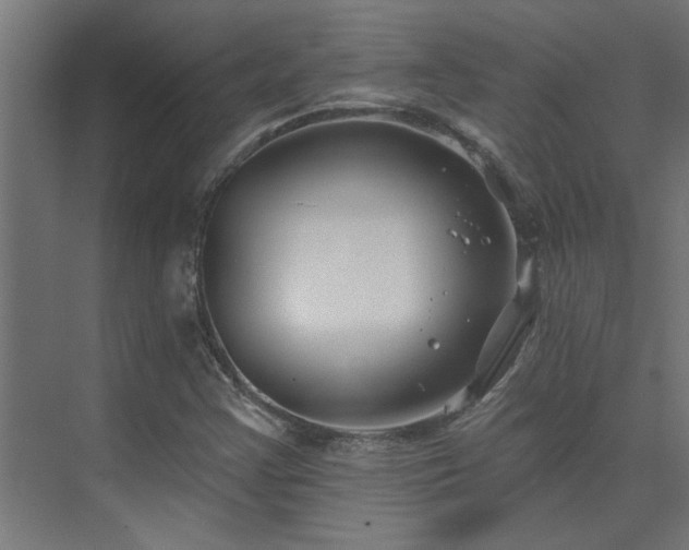 X0000074261355200608251215