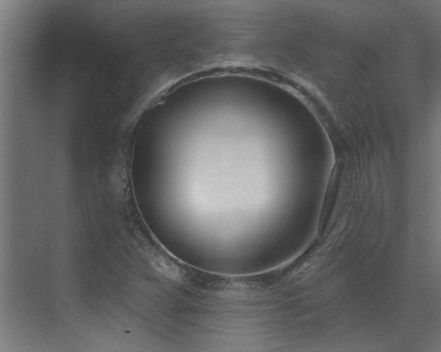 X0000074261359200608251215