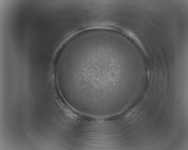 X0000074261360200608251215