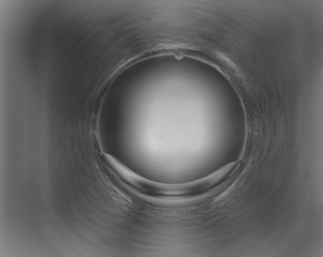 X0000074261361200608251215