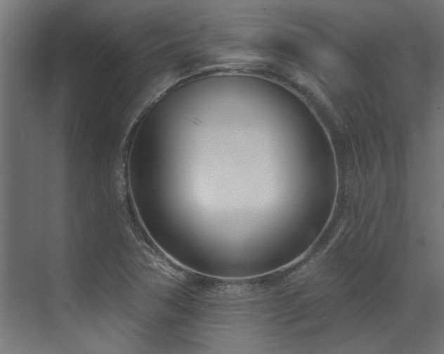 X0000074261362200608251215