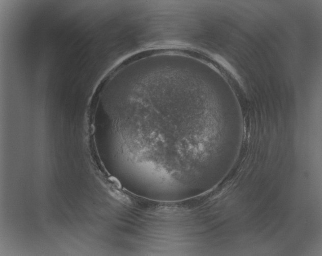 X0000074261364200608251215