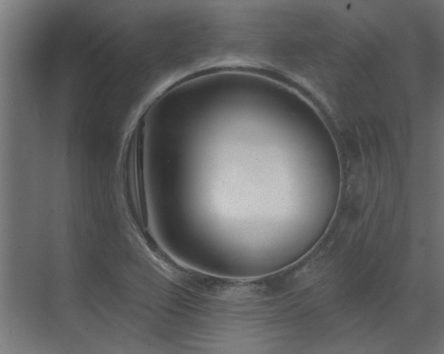 X0000074261367200608251215