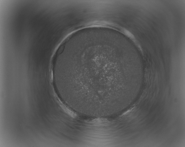 X0000074261368200608251215