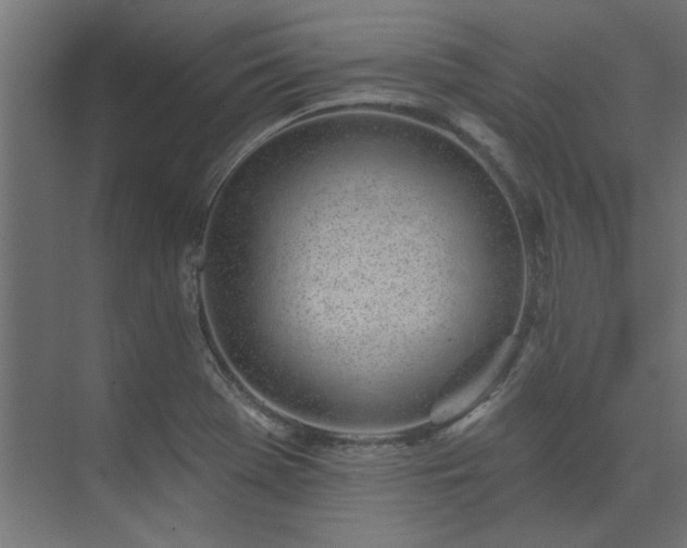 X0000074261369200608251215