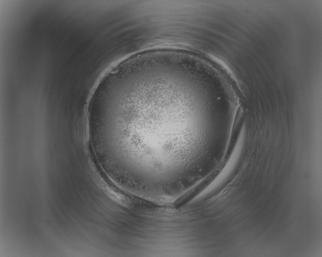 X0000074261371200608251215