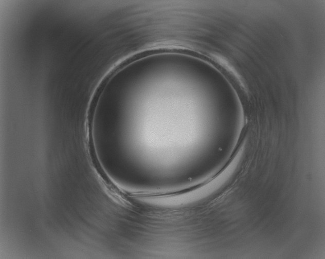 X0000074261372200608251215