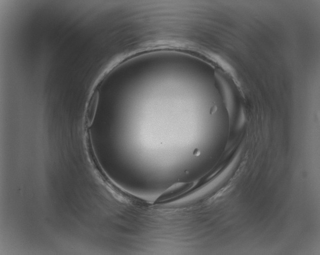 X0000074261373200608251215