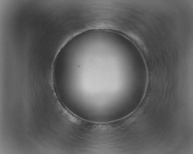 X0000074261374200608251215