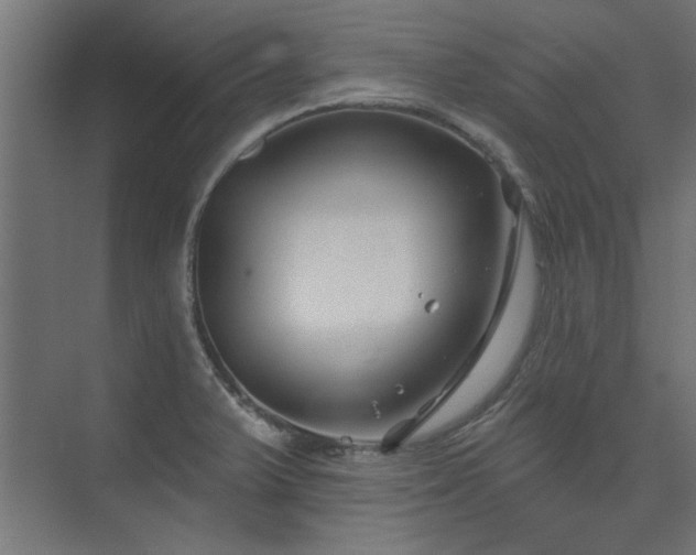 X0000074261375200608251215