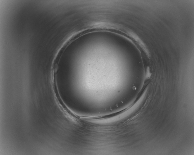 X0000074261376200608251215