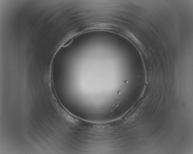 X0000074261378200608251215