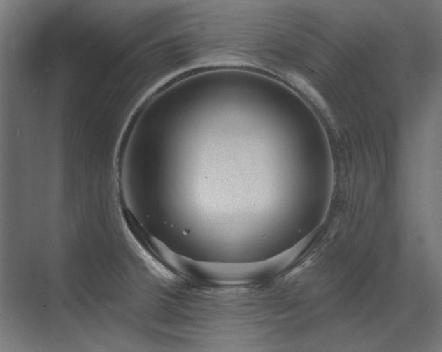 X0000074261380200608251215