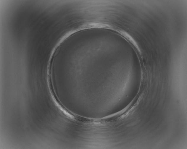 X0000074261381200608251215