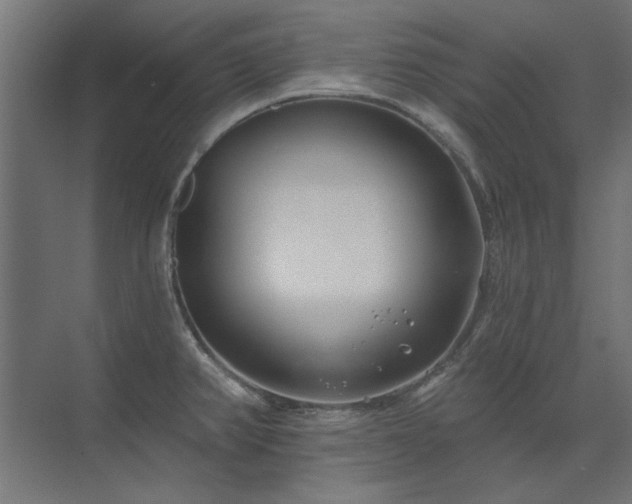 X0000074261382200608251215