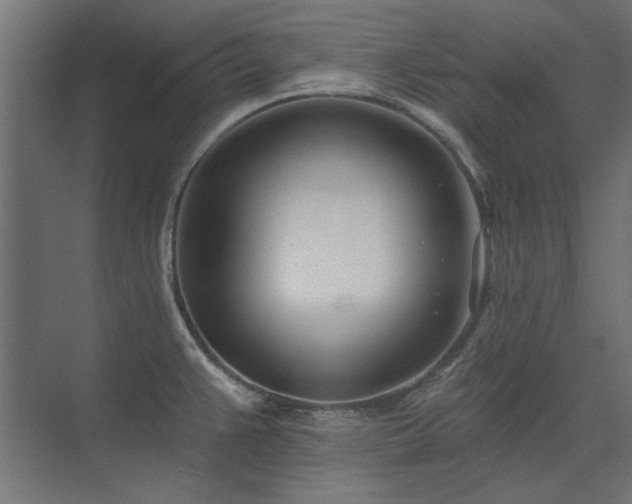 X0000074261383200608251215