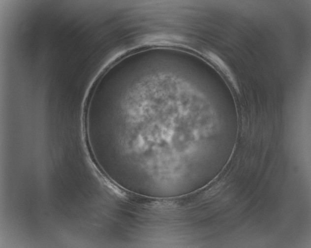 X0000074261384200608251215