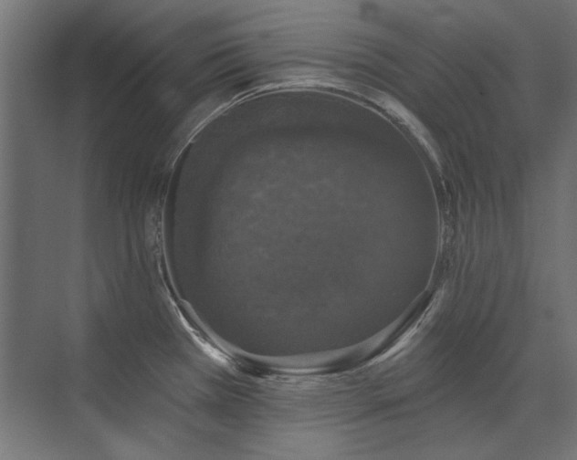 X0000074261385200608251215