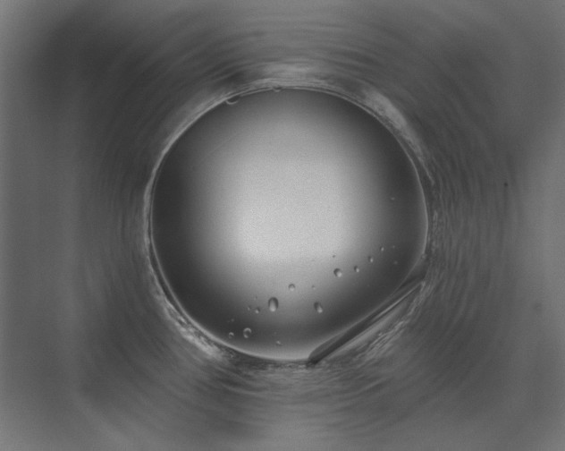 X0000074261386200608251215