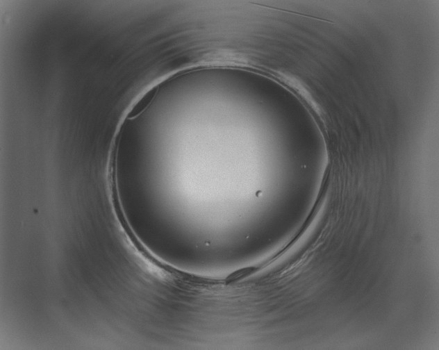 X0000074261387200608251215