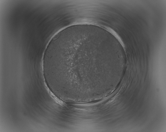 X0000074261388200608251215