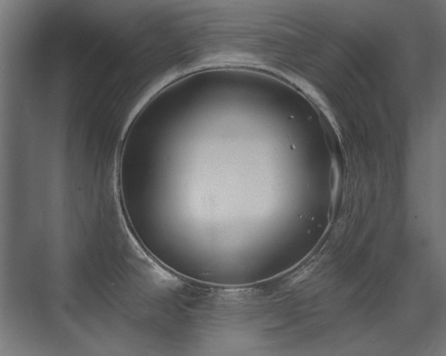 X0000074261390200608251215