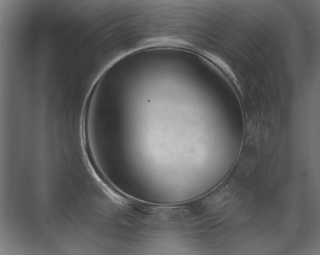 X0000074261391200608251215