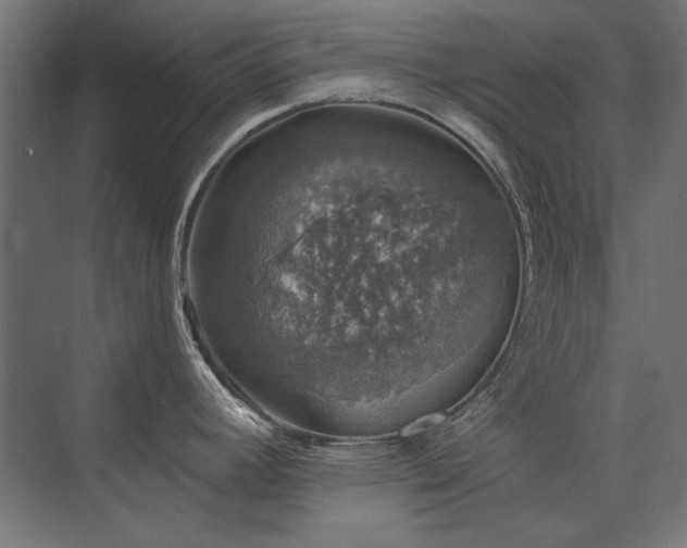 X0000074261392200608251214