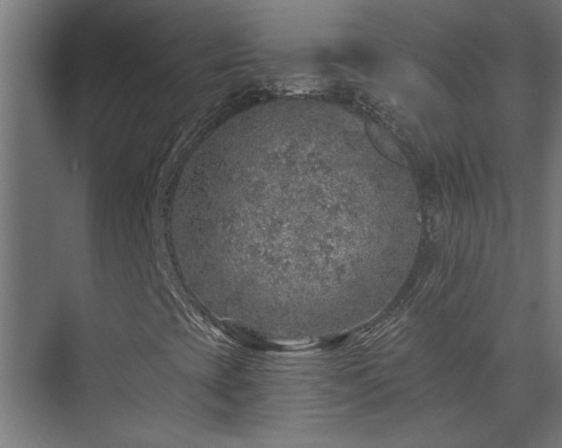 X0000074261393200608251214