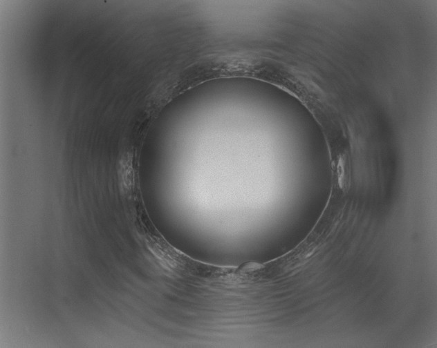 X0000074261395200608251214