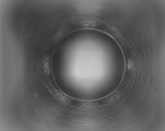 X0000074261396200608251214