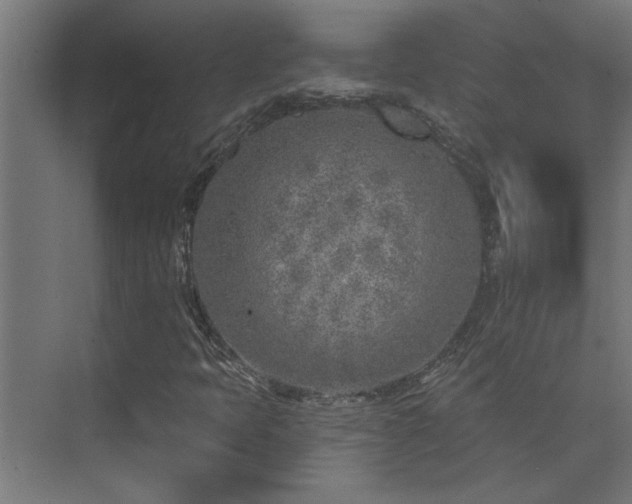 X0000074261397200608251214