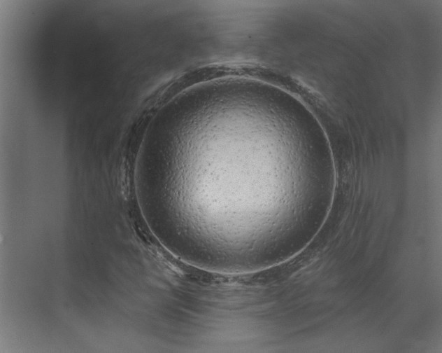 X0000074261398200608251214