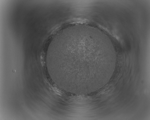 X0000074261399200608251214