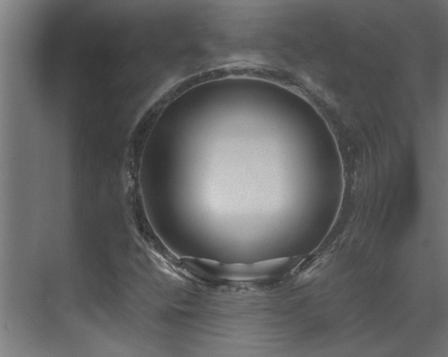 X0000074261400200608251214