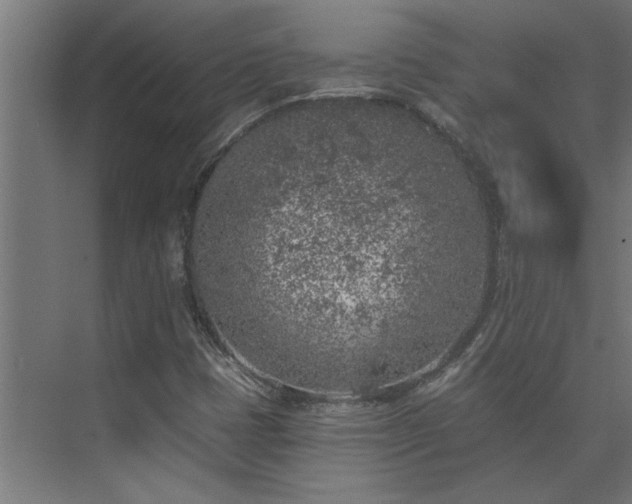 X0000074261401200608251214